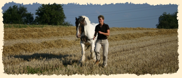 tanja